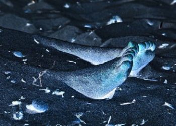 গুটকা কিনে আনতে অস্বীকার করার ৭ বছরের মেয়েকে পিটিয়ে মারল মদ্যপ ব্যক্তি