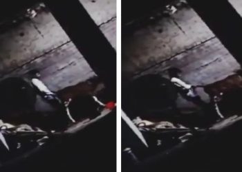 গরুর সাথে যৌন মিলন, ইউপির মোরাদাবাদে গ্রেফতার ভূরা শেখ নামে এক যুবক