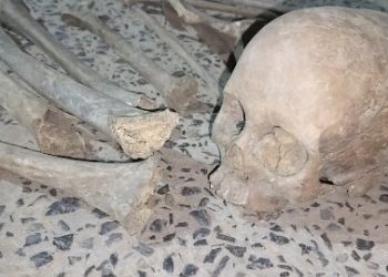 জাতীয় সড়ক সম্প্রসারণের কাজের সময় নর কঙ্কাল উদ্ধার,ভয়ে শিউরে উঠলেন শ্রমিকরা