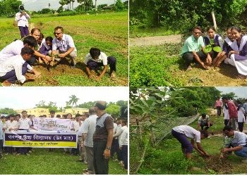 বৃক্ষরোপণ উৎসব পালিত হল মঙ্গলকোটের গণপুর উচ্চ বিদ্যালয়ে