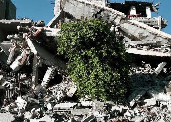 গাজার স্কুলে হামলায় ৩৮ সন্ত্রাসী নির্মূল হয়েছে বলে জানালো আইডিএফ