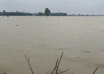 টানা প্রবল বৃষ্টির সাথে ডিভিসির ছাড়া জলে কার্যত সমুদ্রের আকার নিয়েছে মন্তেশ্বর ব্লকের মাঝেরগ্রাম পঞ্চায়েতের বিস্তীর্ণ এলাকা
