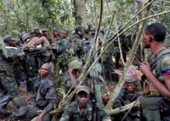 কঙ্গোয় ৩০ জনেরও বেশি খ্রিস্টানকে শিরশ্ছেদ করে হত্যা করেছে ইসলামি সন্ত্রাসবাদীরা