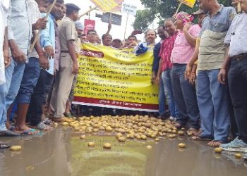 ভিন রাজ্যে আলু পাঠাতে দেওয়ার দাবিতে কার্জনগেট আলু ফেলে বিক্ষোভ দেখাল ব্যবসায়ীরা
