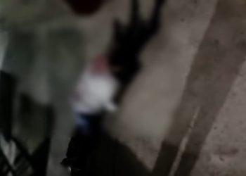 কলকাতায় প্রকাশ্যে যুবককে খুন, সুকান্ত মজুমদার বললেন : ‘এটা পশ্চিমবঙ্গ নাকি মিনি পাকিস্তান’