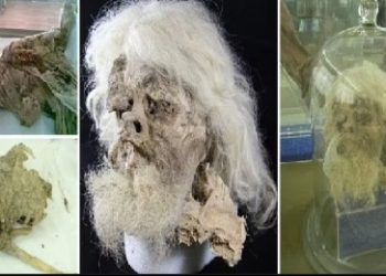 ইরানে লবনের খনি থেকে ২,৫০০ বছরের প্রাকৃতিক মমি উদ্ধার