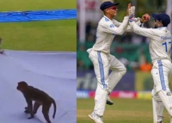 বাংলাদেশ-ভারত টেস্টে বানর ঠেকাতে মাঠে লেঙ্গুর