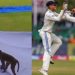 বাংলাদেশ-ভারত টেস্টে বানর ঠেকাতে মাঠে লেঙ্গুর