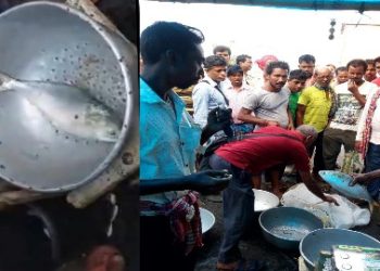 বর্ধমানের দামোদর নদ থেকে মিললো বাংলাদেশের ইলিশ, এক কেজি ওজনের মাছটি নিলামের দর উঠল ২,১০০ টাকা