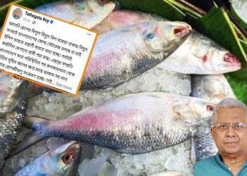 বাংলাদেশি বিষাক্ত ফর্মালিন মেশানো পচা ইলিশ মাছ এড়িয়ে চলুন : সতর্ক করলেন তথাগত রায়