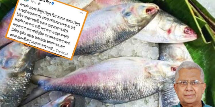 বাংলাদেশি বিষাক্ত ফর্মালিন মেশানো পচা ইলিশ মাছ এড়িয়ে চলুন : সতর্ক করলেন তথাগত রায়