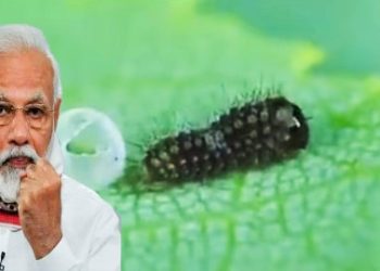 হিন্দু প্রজাপতির জন্ম ও নরেন্দ্র মোদী : আত্মনির্ভরশীল উত্তরাধিকারী তৈরির গল্প