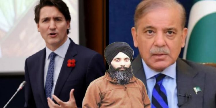 ভারত নয়, হরদীপ সিং নিজ্জারকে হত্যা করেছে পাকিস্তান ? কানাডার রাডারে আইএসআইয়ের কিয়ানি