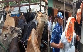 গরুর গাড়ি আটকে টাকা ছিনতাই, পূর্ব বর্ধমানের মেমারিতে গ্রেপ্তার ৫