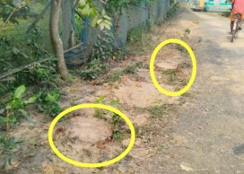 ভাতারের বনপাসে বিনা টেন্ডারে যথাযথ অনুমতি ছাড়া পঞ্চায়েতের লাগানো গাছ হাপিশ করে দেওয়ার অভিযোগ, নাম জড়ালো তৃণমূল নেতার