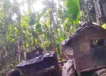 জীবিত দম্পতিকে মৃত দেখিয়ে জাল দলিল তৈরি করে সম্পত্তি হাতিয়ে নেওয়ার অভিযোগ, চাঞ্চল্য কালনায়