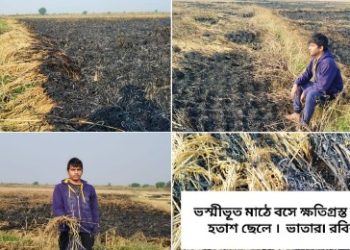 রহস্যজনকভাবে আগুন ধরে পুড়ে ভস্মীভূত হয়ে গেল ভাতারের এক চাষির ৬ বিঘা জমির ধান