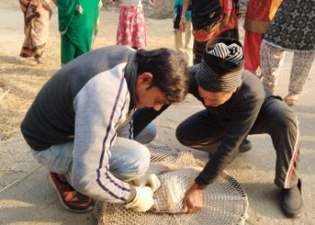 দীর্ঘ পাঁচ দিন ধরে মুখে আটকে থাকা কৌটো মুক্ত করে পথকুকুরের প্রাণ বাঁচালেন ভাতারের পশুপ্রেমী যুবক