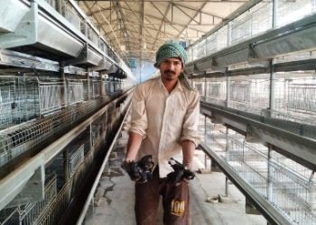 ভাতারে পোল্ট্রি ফার্মে আগুন লেগে জীবন্ত দগ্ধ হয়ে মৃত্যু ৫,০০০ মুরগির