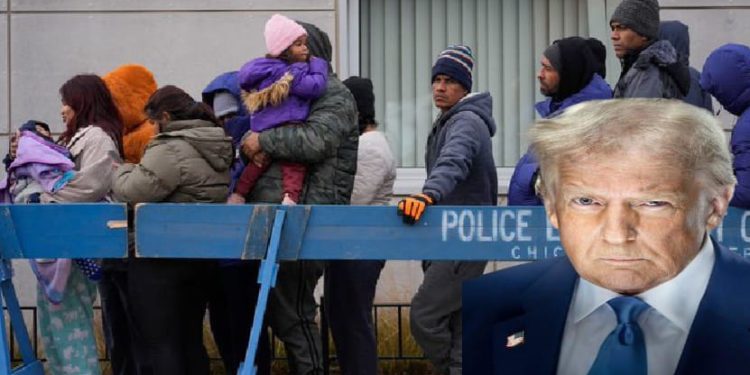 ট্রাম্পের প্রথম নজিরবিহীন গণ নির্বাসন অভিযান শিকাগোতে শুরু হতে চলেছে : রিপোর্ট