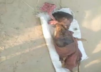 কাটোয়ায় নির্জন ঝোপের গাছে ঝুলন্ত নরকঙ্কাল উদ্ধার, চাঞ্চল্য এলাকায়