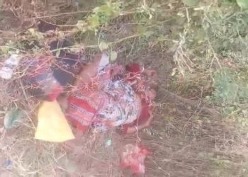 ভাতারে বিষপানে অচৈতন্য অঙ্গনওয়াড়ি কেন্দ্রের সহায়িকাকে উদ্ধার করল পুলিশ, ৩ দিন আগে নিখোঁজ হয়ে যান মহিলা