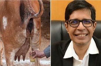 ‘গোমূত্রে ওষুধ’ : আইআইটি মাদ্রাজের ডিরেক্টর কামাকোটির বক্তব্যে বেজায় চটেছে কংগ্রেস