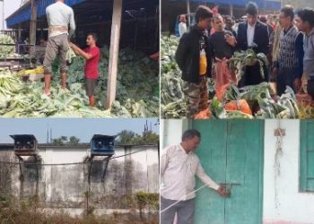ফুলকপি বিকোচ্ছে ১-২ টাকা পিস, সরকারি শব্জি সংরক্ষন হিমঘরের বেহাল অবস্থা, মাথায় হাত পূর্বস্থলীর চাষিদের