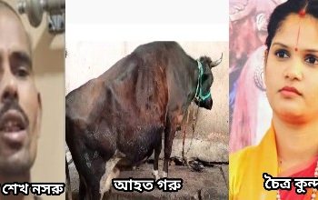 কর্ণাটকে ৩ গাভির স্তনবৃন্ত কেটে দেওয়ার ঘটনায় সরব হলেন বিগ বস প্রতিযোগী চৈত্র কুন্দাপুর, গ্রেফতার অভিযুক্ত শেখ নসরু