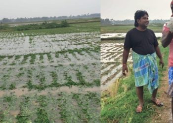 ফাল্গুনে ব্যাপক শিলাবৃষ্টিতে জল থই থই আলু চাষের জমি, সম্ভাব্য ক্ষতির আশঙ্কায় চিন্তিত চাষীরা