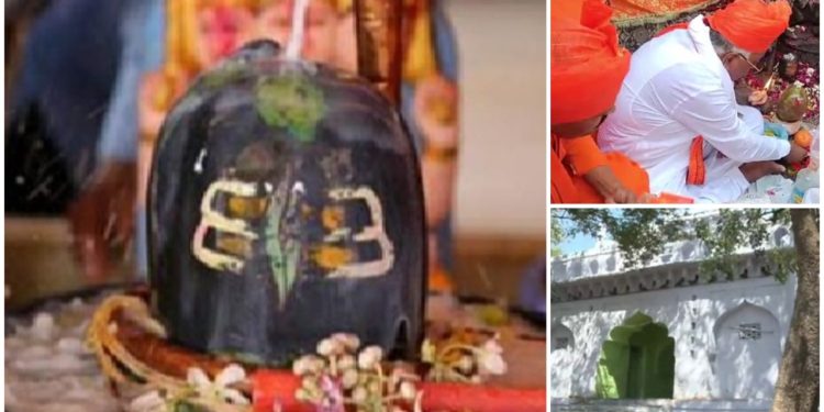 এই দরগার ভেতরে শিবলিঙ্গ পূজার অনুমতি দিল আদালত ; ২০২২ সালে মুসলমানরা মানব মল ছুঁড়ে মূর্তিটি অপবিত্র করেছিল