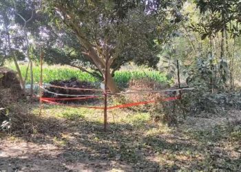 হলদিবাড়িতে বোমা বিস্ফোরণের ঘটনায় গ্রেপ্তার তৃণমূলের বুথ সভাপতি সহ ৩ তৃণমূল কর্মী