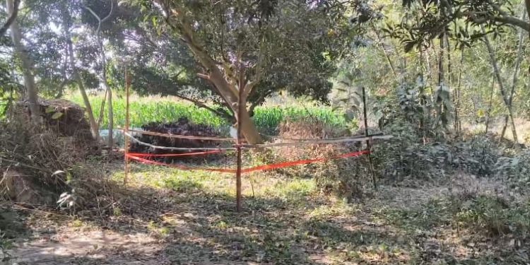 হলদিবাড়িতে বোমা বিস্ফোরণের ঘটনায় গ্রেপ্তার তৃণমূলের বুথ সভাপতি সহ ৩ তৃণমূল কর্মী