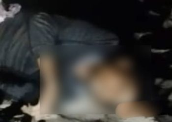 বাংলাদেশি গরু পাচারকারীকে মারল বিএসএফ