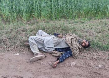 পাঞ্জাব সীমান্তে পাকিস্তানি অনুপ্রবেশকারীকে গুলি করে হত্যা করেছে বিএসএফ