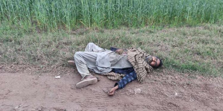 পাঞ্জাব সীমান্তে পাকিস্তানি অনুপ্রবেশকারীকে গুলি করে হত্যা করেছে বিএসএফ