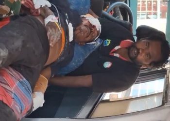 বাঘের মত হিংস্র জন্তুদের মোকাবিলায় ভরসা শুধু লাঠি,  অস্থায়ী বনকর্মীদের নিরাপত্তায় উঠছে গাফেলতির অভিযোগ  