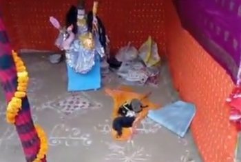 ‘সরস্বতী পুজোর দ্বিতীয় দিনও আক্রান্ত মা সরস্বতী,হিন্দুরা জাগুন’ : শুভেন্দু অধিকারী