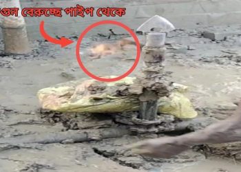 গভীর নলকূপের পাইপ পুঁততেই জলের পরিবর্তে মাটির তলা থেকে বেরোচ্ছে গ্যাস ও আগুন! আতঙ্কিত পূর্বস্থলীর মানুষ