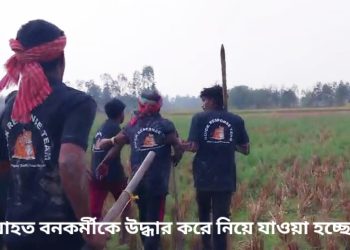 বনকর্মীর মাথা কামড়ে ধরল বাঘ, লাঠি দিয়ে পিটিয়েও কামড় ছাড়াতে পারেনি গ্রামবাসীরা, ভয়ংকর সেই ঘটনা ঘটেছে কুলতলির মৈপীঠের নগেনাবাদ গ্রামে 