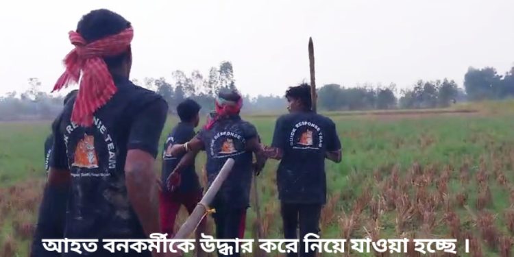 বনকর্মীর মাথা কামড়ে ধরল বাঘ, লাঠি দিয়ে পিটিয়েও কামড় ছাড়াতে পারেনি গ্রামবাসীরা, ভয়ংকর সেই ঘটনা ঘটেছে কুলতলির মৈপীঠের নগেনাবাদ গ্রামে 