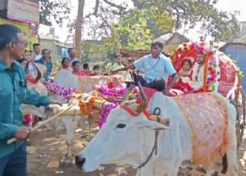 গ্রাম বাংলার সাবেকি ঐতিহ্যের যান গরুর গাড়িতে চেপে গৃহপ্রবেশ বর ও কনের, হইচই ফেললো নেট দুনিয়ায়