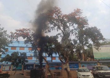 ফাগুনের আভাস দেওয়া ফুলে ভর্তি পলাশ গাছের অস্তিত্ব সঙ্কটে পড়েছে বিটুমিন বয়লারের উত্তাপ ও কালো ধোঁয়ায়, অফিসের সামনে থাকা গাছগুলির নির্মম পরিণতি দেখছেন ভাতারের বিডিও অফিসের বাবুরা