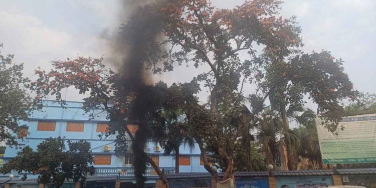 ফাগুনের আভাস দেওয়া ফুলে ভর্তি পলাশ গাছের অস্তিত্ব সঙ্কটে পড়েছে বিটুমিন বয়লারের উত্তাপ ও কালো ধোঁয়ায়, অফিসের সামনে থাকা গাছগুলির নির্মম পরিণতি দেখছেন ভাতারের বিডিও অফিসের বাবুরা