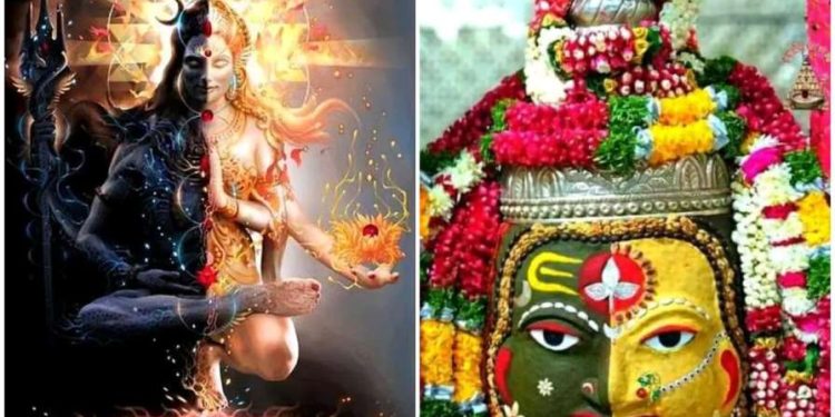 শিব স্তোত্র : অর্ধ নারীশ্বর অষ্টকম্