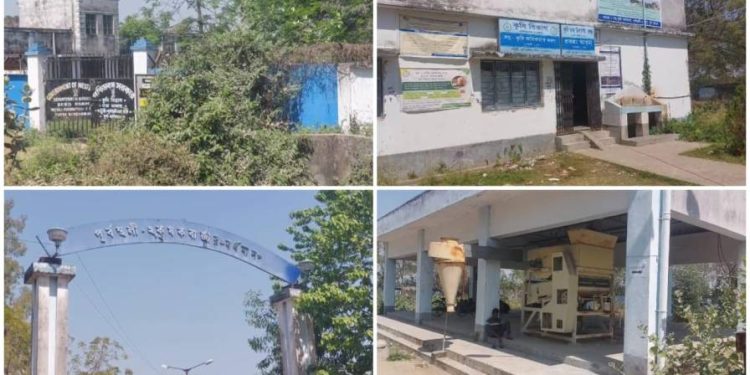 খোদ মন্ত্রীর পার্শ্ববর্তী এলাকার কৃষি মান্ডিতে আজ শ্মশানের নিস্তব্ধতা, রাতে দুষ্কৃতীদের আনাগোনা ও দিনে বসে মদের ঠেক