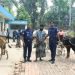 গোরু চুরির ব্যবসা শুরু করেছে বাংলাদেশের নেতারা, বিএনপি নেতার গোয়ালঘর থেকে ১৩ চোরাই গরু উদ্ধার