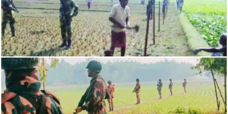 ফের বিএসএফকে কাঁটাতারের বেড়া দিতে বাধা দিল বাংলাদেশ সীমান্ত রক্ষীরা, উত্তেজনা এলাকায়