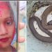 ছোবল মারা বিষধর সাপ সঙ্গে নিয়ে হাসপাতালে পৌছেও শেষ রক্ষা হল না, মৃত্যু হল অষ্টম শ্রেণীর ছাত্রীর