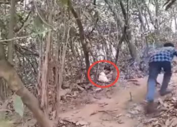 সপ্তম শ্রেণী পড়ুয়া মেয়েকে গনধর্ষণের বিরুদ্ধে মামলা করায় খুন হিন্দু ব্যক্তি, খাদের কিনারায় বাংলাদেশের সংখ্যালঘুদের জীবন